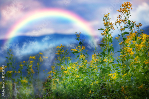 Smoky Mountain Adventure