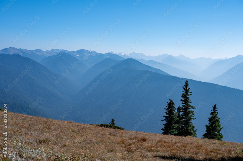 Mountains of Olympic National Park, Washington viewed from Hurricane Ridge Visitor Center on sunny autumn afternoon..