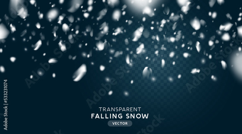 Falling winter snow flakes, realistic transparent snowfall effect. Vector illustration.