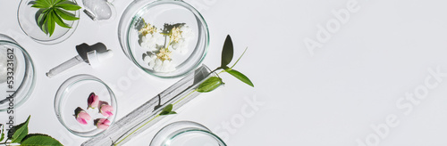 Banner Petri dishes with cosmetic on white background.Top view, flat lay, copy space. Dermatology science cosmetic laboratory. Natural medicine,cosmetic research, organic skin care products