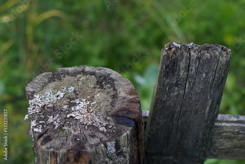 old wooden rural fence with lichen and green grasses on background