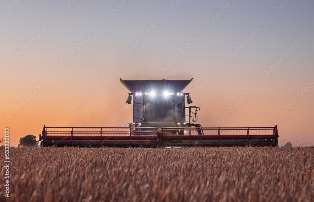 Agriculture: Combine harvester with headlight illuminating wheat field as evening turns into night