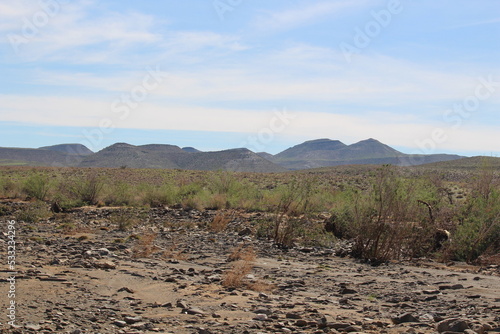 Green growth returns to rural Namibia