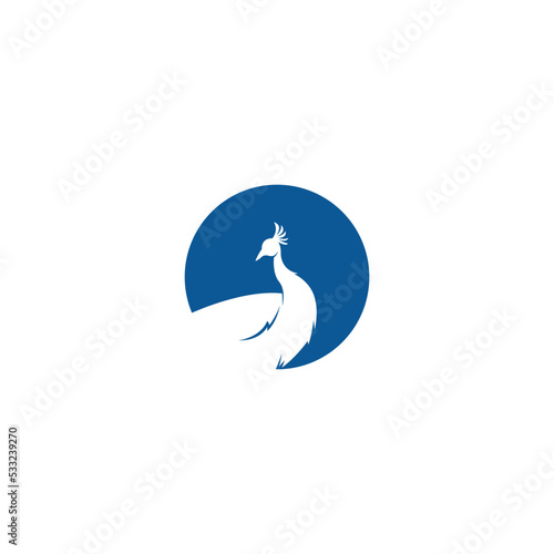 Peacock icon logo illustration design