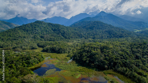 The exuberant Atlantic Forest within the protected area of the Guapiaçu Ecological Reserve, in the metropolitan region of Rio de Janeiro. © Marcio Isensee e Sá