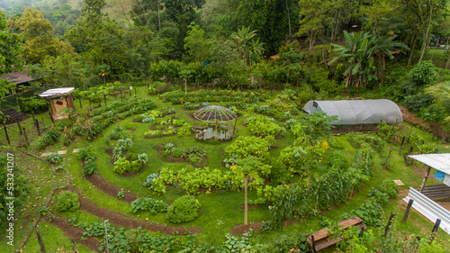 A farm in the Petrópolis region of Rio de Janeiro uses agroforestry methods for food production and forest restoration in the Atlantic Forest. photo