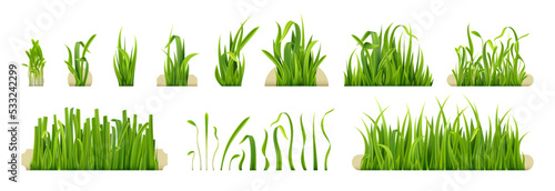 Fototapeta Naklejka Na Ścianę i Meble -  Spring vegetation. Realistic garden grasses, green bunch of grass and close up lawn grass bar vector set