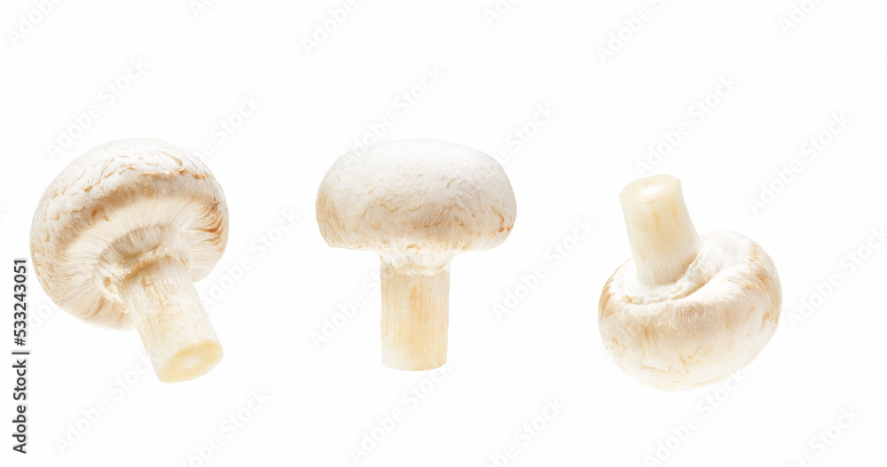 Set of fresh champignon mushrooms, isolated on white background. Set of fresh champignon mushrooms, isolated on white background.