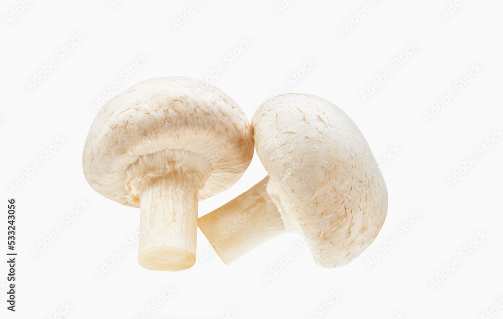 Set of fresh whole champignon mushrooms isolated on white background. Set of fresh whole champignon mushrooms isolated on white background.