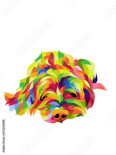 Animal pop art illustrations