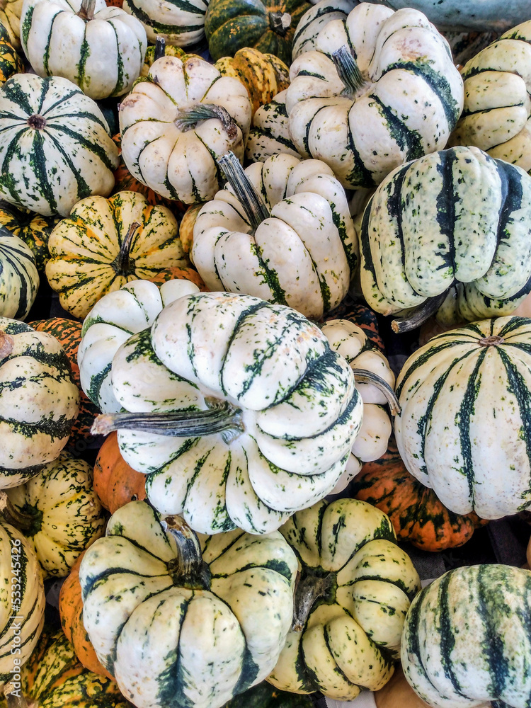 pumpkins on a market stall pumpkins on a market stall