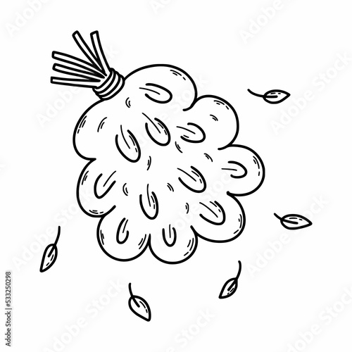Birch broom for bath. Vector doodle illustration.