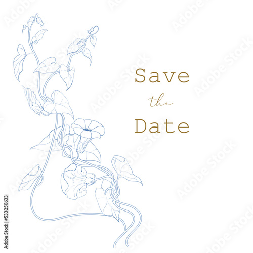  Morning Glory flowers vector line art for wedding invitation, card design, floral thank you with branches