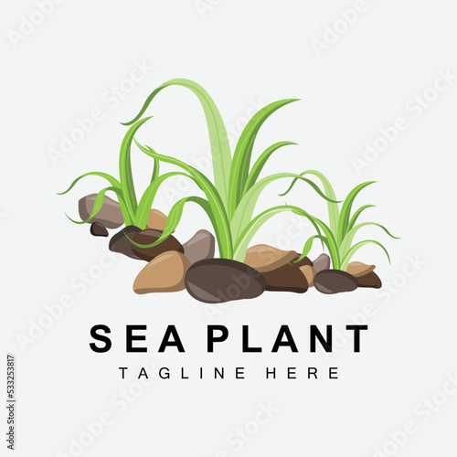 Seaweed Logo, Sea Plants Vector Design, Grocery And Nature Protection