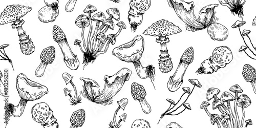 Forest mushrooms. Seamless pattern. Edible and non-edible mushroom plants from wild forest. Outline hand drawn sketch. Drawing with ink. Isolated on white background. Vector.