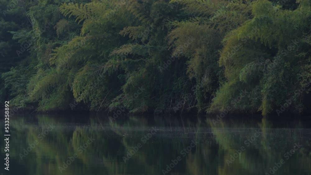 Morning in the jungle, beautiful river kwai in kanchanaburi province,Thailand. vacation and travel concept. Morning in the jungle, beautiful river kwai in kanchanaburi province,Thailand. vacation and travel concept.
