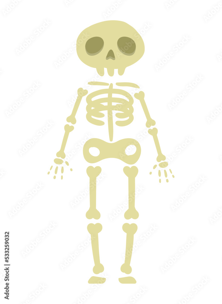 person with skeleton costume person with skeleton costume