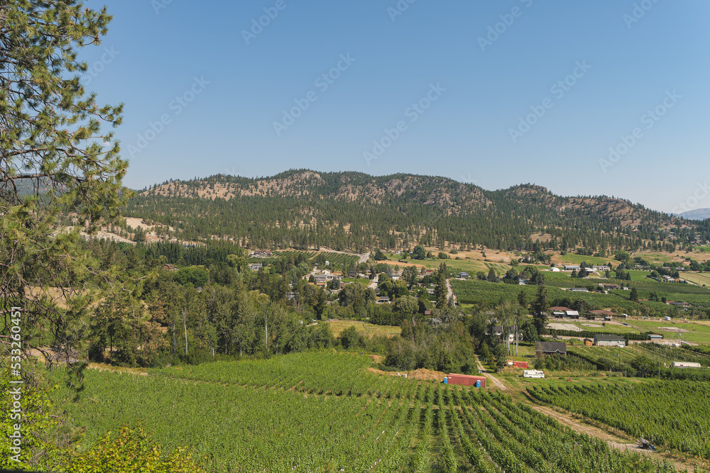 Okanagan valley  panorama