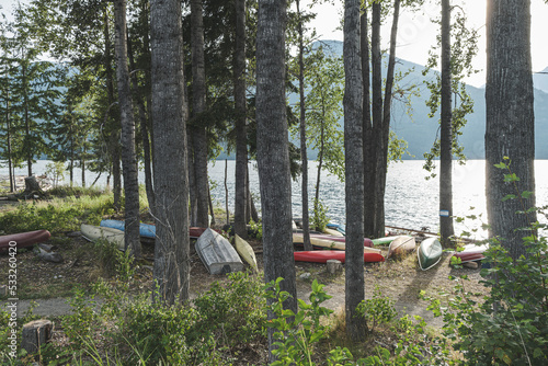 Kayaks beyond the trees on the shore of  Slocan lake.