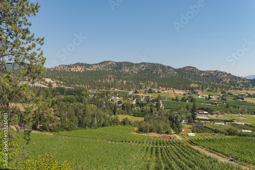 Okanagan valley  panorama