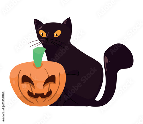 Fototapeta Naklejka Na Ścianę i Meble -  halloween black cat with pumpkin