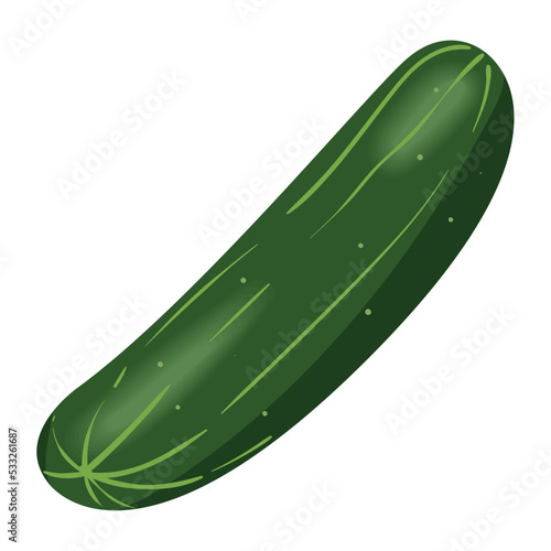 fresh cucumber vegetable