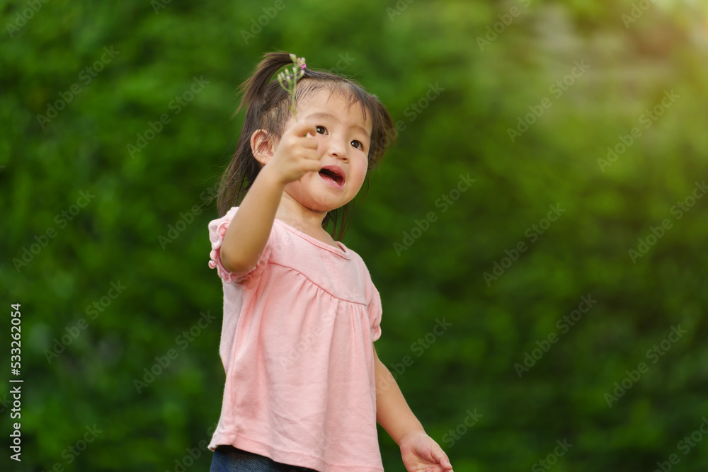 cheerful toddler girl playing grass flower in field cheerful toddler girl playing grass flower in field