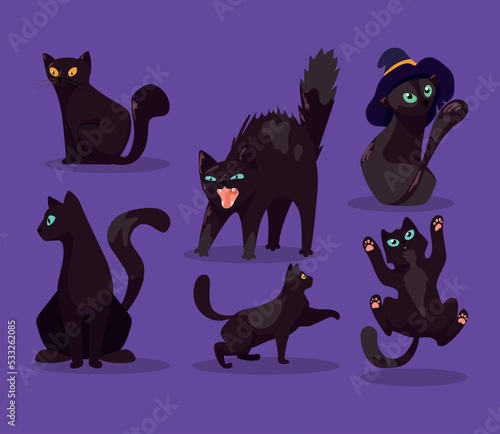 six black cats mascots