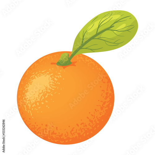 fresh orange fruit healthy