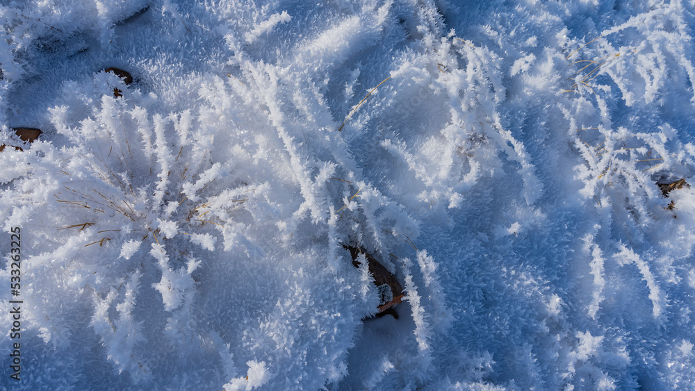 The dry grass is covered with pure white frost. Thin graceful stems and delicate fluffy snowflakes. Top view. Close-up The dry grass is covered with pure white frost. Thin graceful stems and delicate fluffy snowflakes. Top view. Close-up