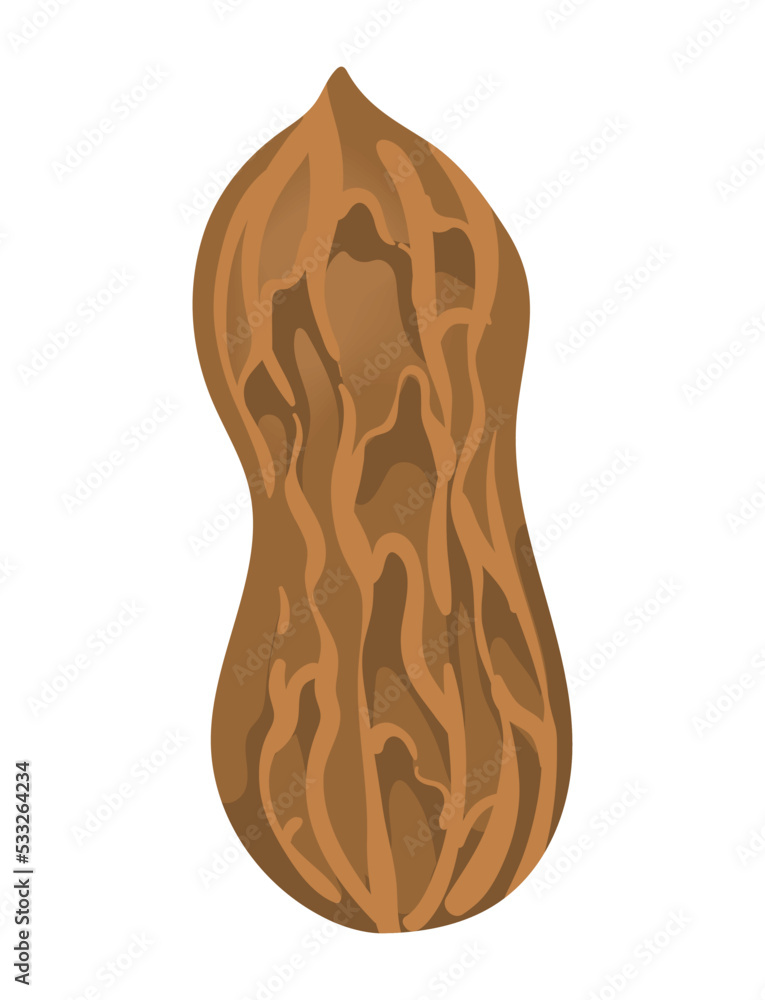 peanut with peel peanut with peel