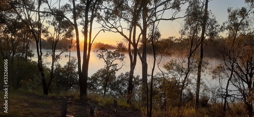 Morning mist over water, through trees at Boyne Island, Queensland, Australia