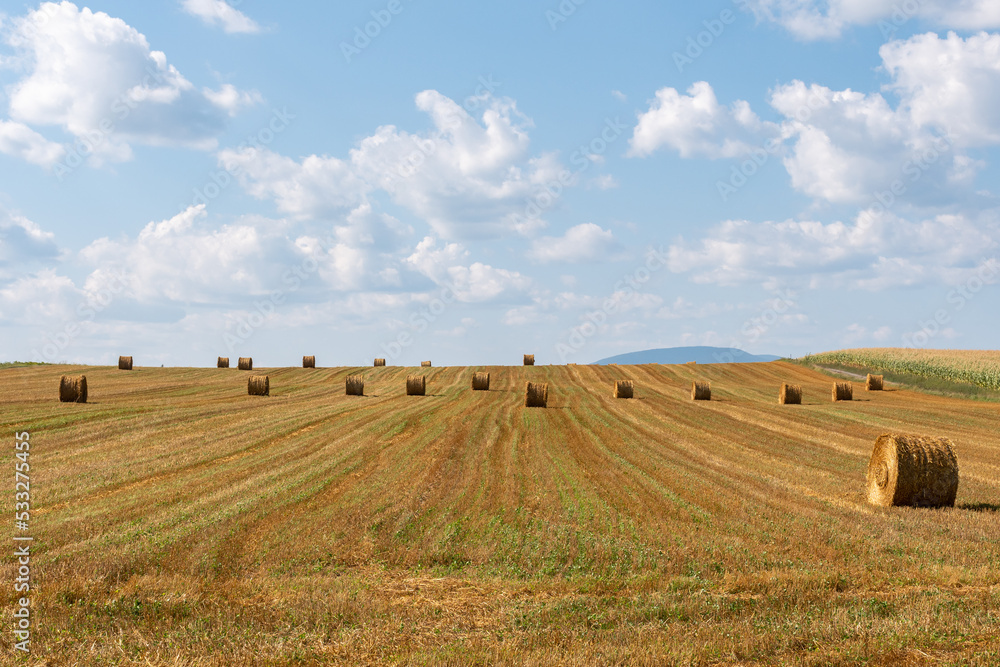 Rural view of haystacks in a field on the Ile d'Orléans (