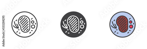 Beefsteak with onions different style icon set