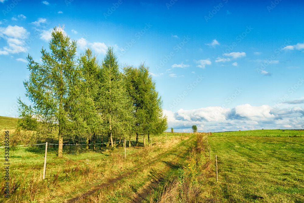 Landscape autumn field with colourful trees, autumn Poland, Europe and amazing blue sky with clouds, sunny day Landscape autumn field with colourful trees, autumn Poland, Europe and amazing blue sky with clouds, sunny day