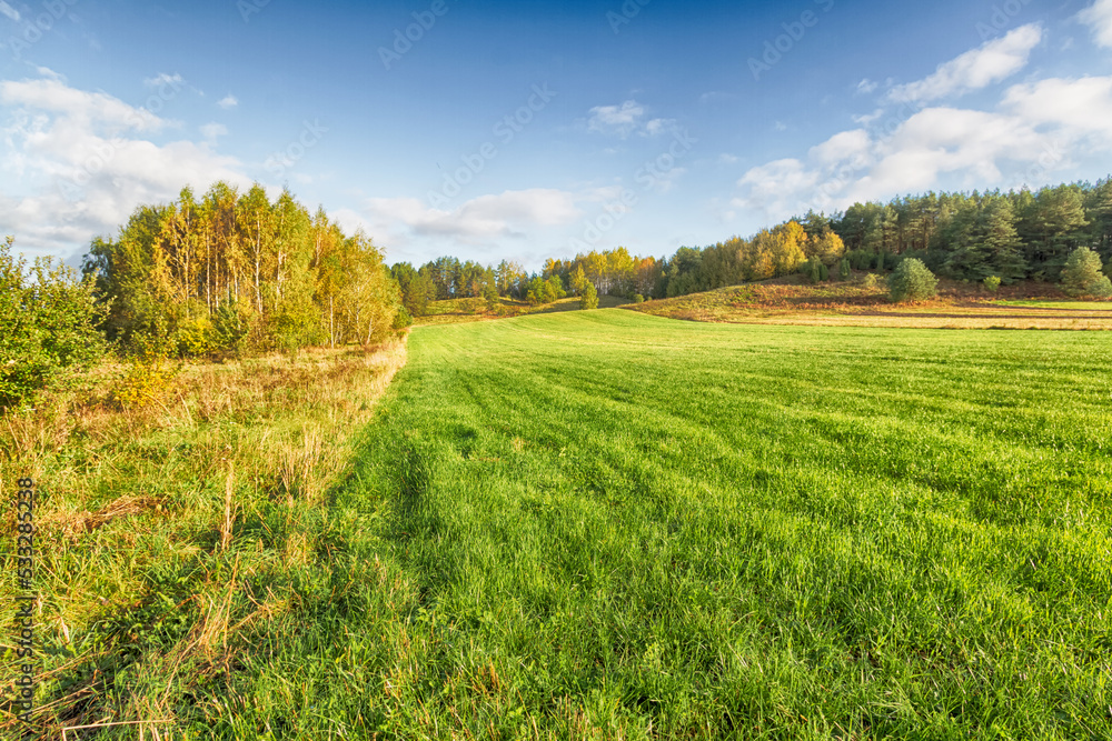Obraz premium Landscape autumn field with colourful trees, autumn Poland, Europe and amazing blue sky with clouds, sunny day