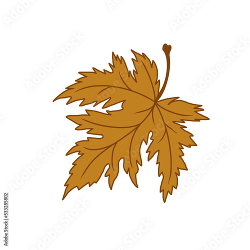 Autumn Leaves Icon