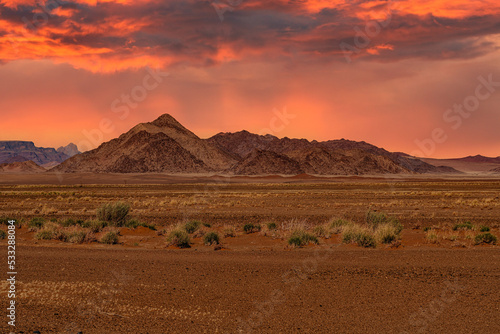 huge sand dunes in the Namib Desert with trees in the foreground of Namibia