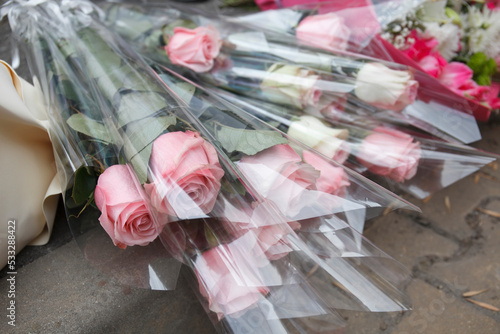 Billede på lærred pink roses in cellophane