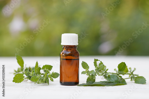 Mint, peppermint essential oil (remedy, extract) containers with fresh mint leaves and flowers on greenery background