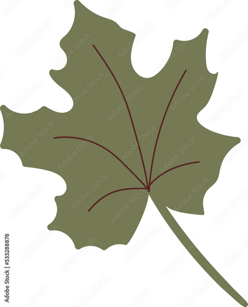 Naklejka premium Simple autumn leaf in green color. Autumn design maple leaf. Vector