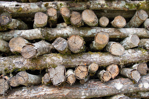 Tas de bois de chauffage photo