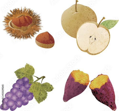 秋　秋の味覚　贈りもの　贈答品　果物　水彩　アナログタッチ　かわいい　おしゃれ　イラスト素材セット