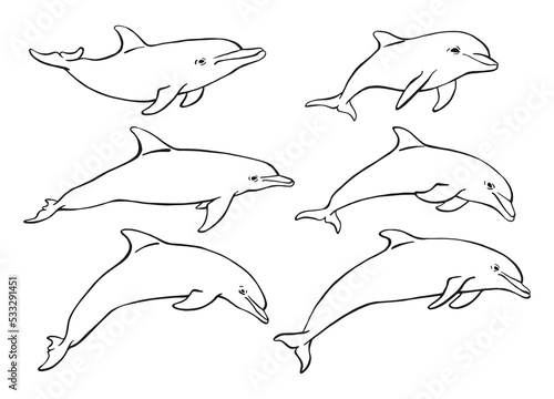 Set of dolphin. Hand drawn illustration converted to vector. Vector with animal underwater.