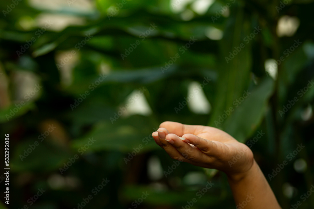 Technology, hand holding with environment Icons over the Network connection on green background. Technology, hand holding with environment Icons over the Network connection on green background.