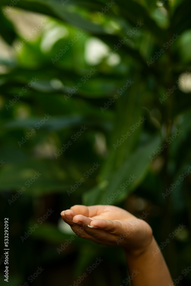 Technology, hand holding with environment Icons over the Network connection on green background. Technology, hand holding with environment Icons over the Network connection on green background.