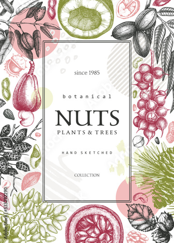 Vector card banner in college style. Vintage nuts sketched frame. Healthy food background with branches, plants, nutshells hand-drawings and abstract shapes. Creative botanical illustrations