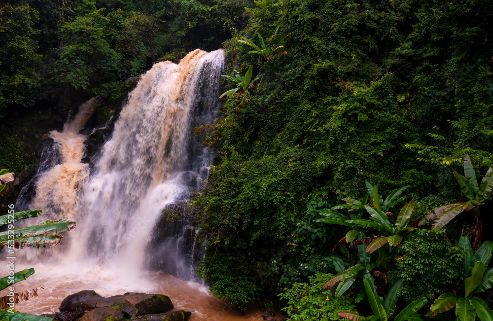 The jungle with a Waterfall-River-rocks-covered-with rainy forest-Waterfall in the forest at park The jungle with a Waterfall-River-rocks-covered-with rainy forest-Waterfall in the forest at park