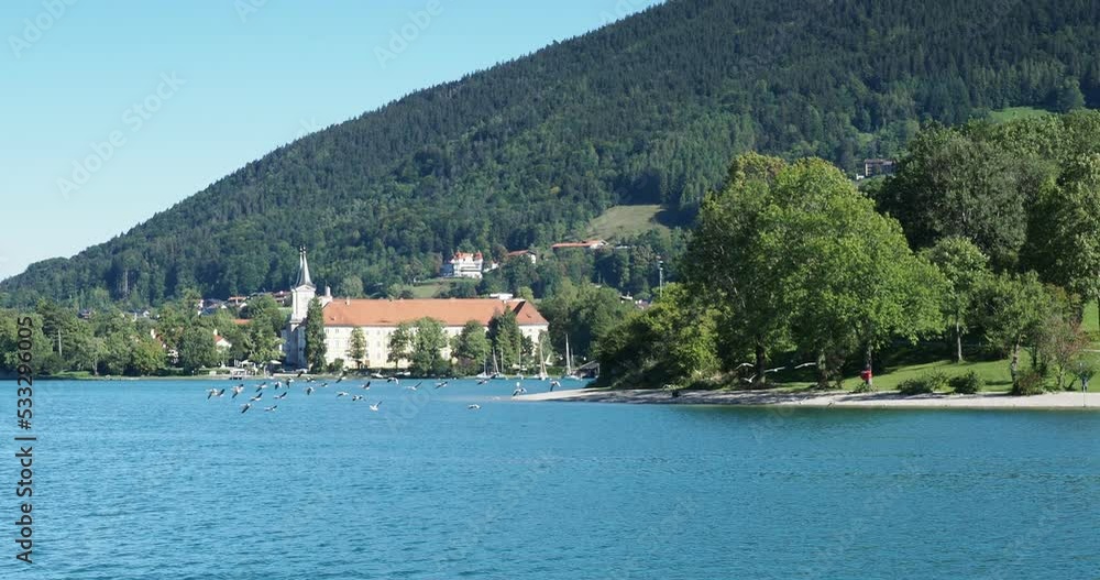 Anser anser | Flock of wild greylag geese in flight over water of the lake Tegern (Tegernsee) in Bavaria Germany Anser anser | Flock of wild greylag geese in flight over water of the lake Tegern (Tegernsee) in Bavaria Germany