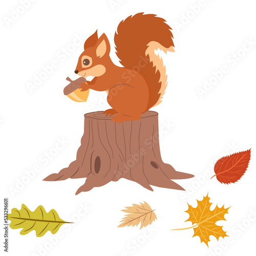 squirrel with acorn